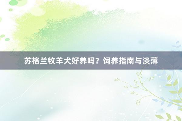 苏格兰牧羊犬好养吗？饲养指南与淡薄