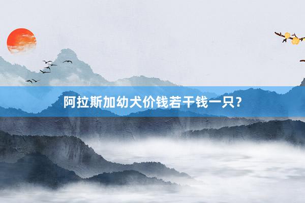 阿拉斯加幼犬价钱若干钱一只？